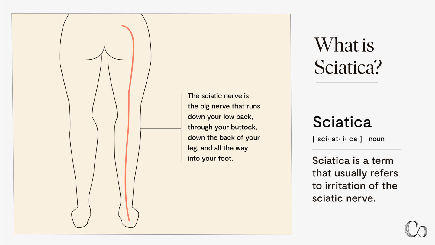 Sciatica Surgery 101: A Guide to Sciatica Surgery - Commons Clinic