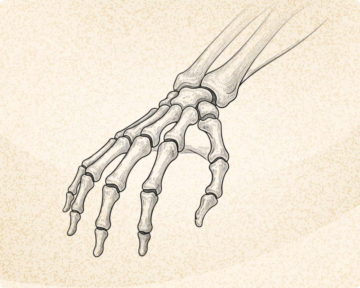 Hand, Wrist, & Elbow Conditions