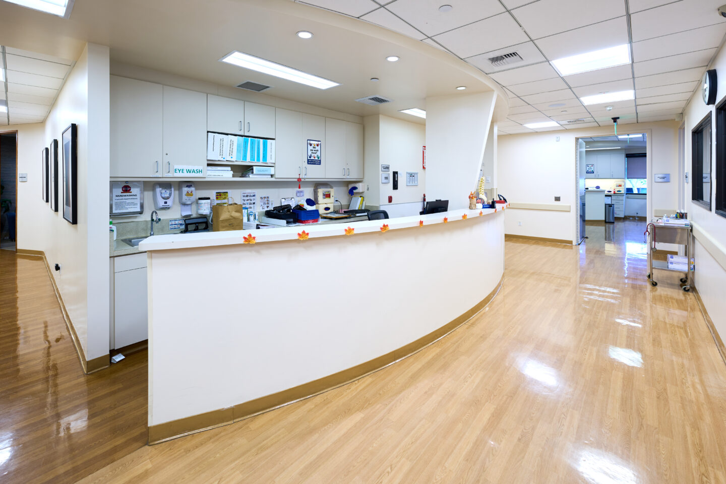 Where Care Meets Comfort: Inside Commons Clinic - Commons Clinic